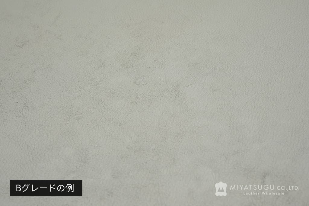Bグレードの状態例