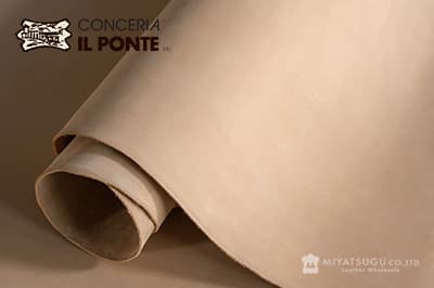 IPヌバック（Il Ponte）