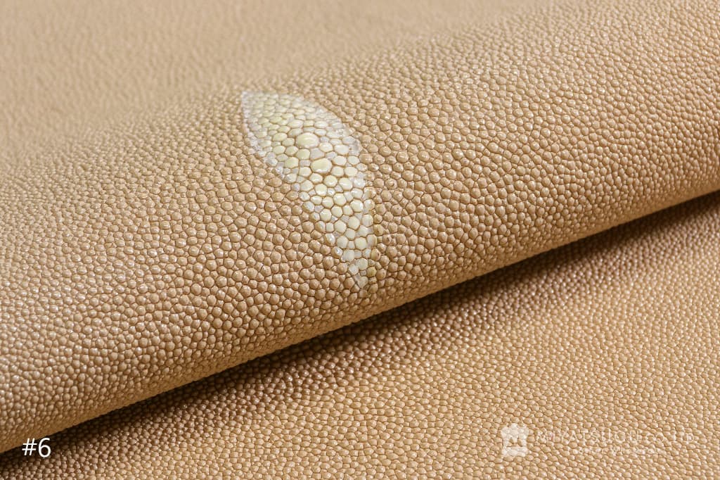 スティングレイ・銀付き（エイ革・9インチ）｜革販売のミヤツグ - 皮革